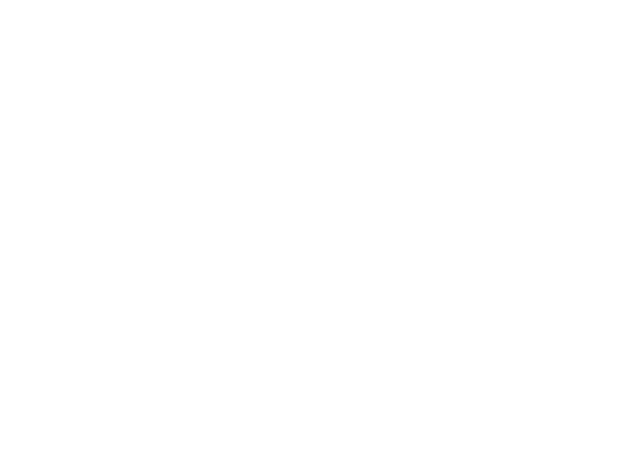 logo zuzpikacia